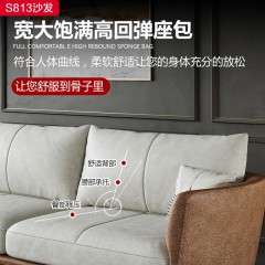 【精品】千匠一品现代轻奢高档布艺+进口松木实木内架+高密度回弹海绵+钛合金脚沙发-S813-G