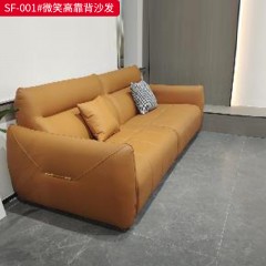 【特价产品】千匠一品 现代风格 科技布+全落叶松框架框架+高密度海绵+蛇形锰钢弹簧+金色橡筋+公仔棉 时尚大气沙发SF-001-J