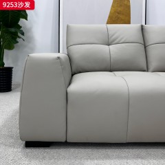 千匠一品 现代风格 生态真皮+高密度海绵+实木框架 时尚大气沙发9253-J