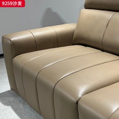 千匠一品 现代风格 生态真皮+高密度海绵+实木框架 时尚大气沙发9259-J