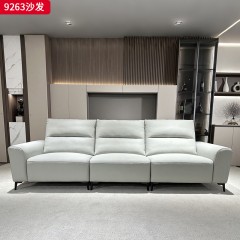 千匠一品 现代风格 生态真皮+高密度海绵+实木框架+五金脚 时尚大气沙发9263-J